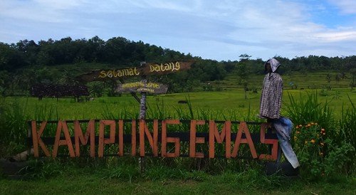 plang emas