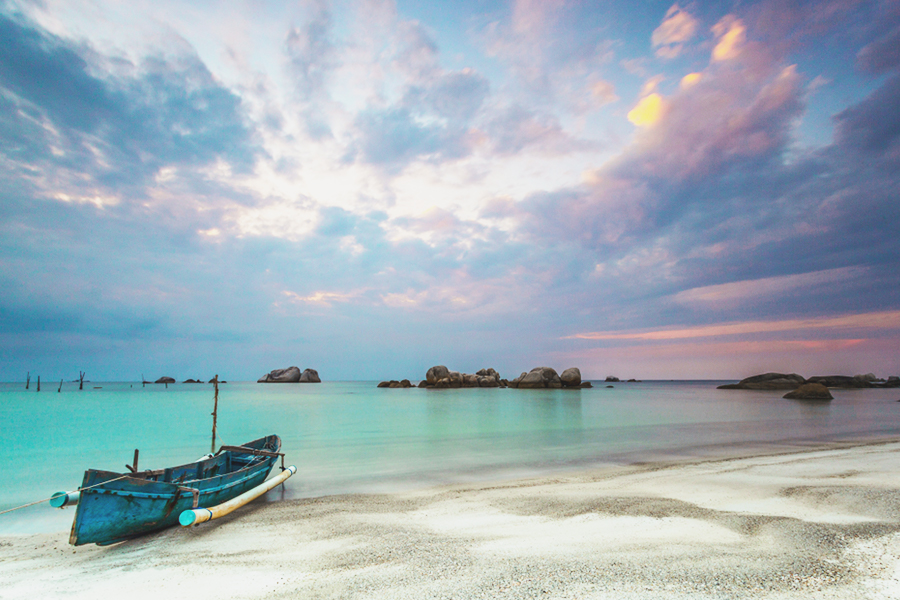 nature movies indonesia