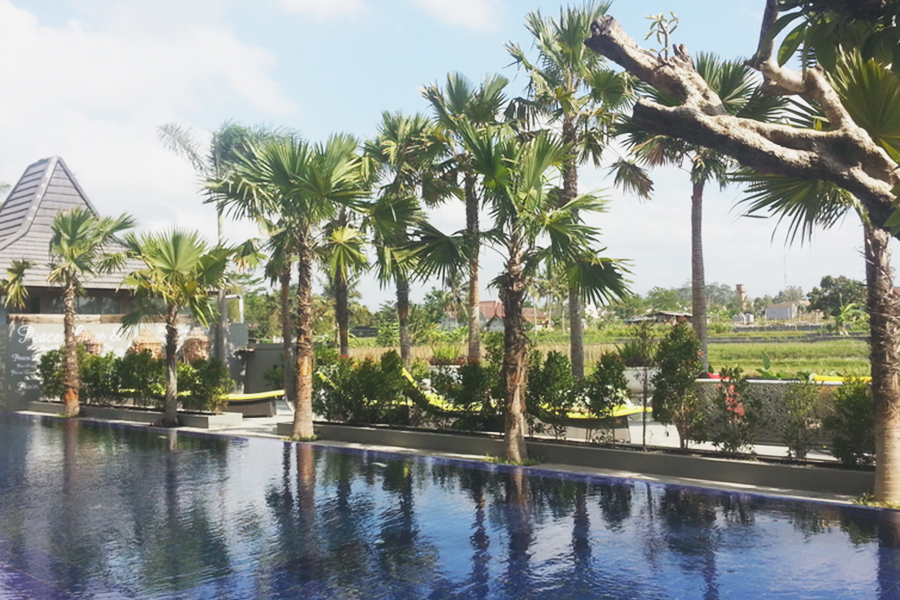 villas in paddy fields