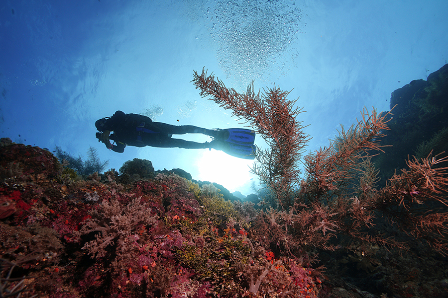Keindahan Morotai