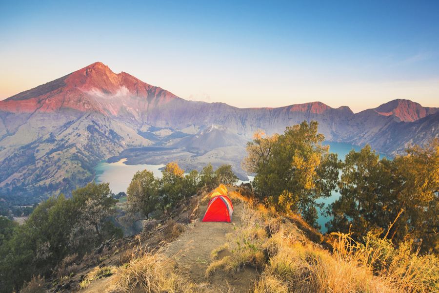 nature movies indonesia
