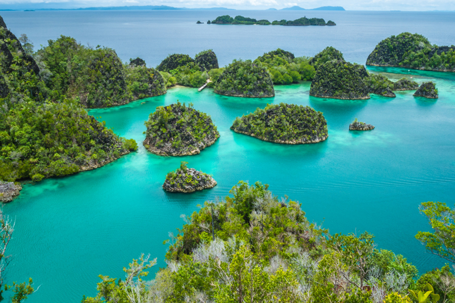 Liburan dari Rumah