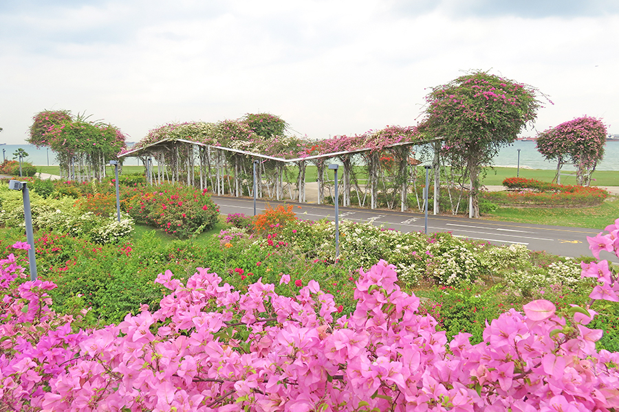 free attractions singapore