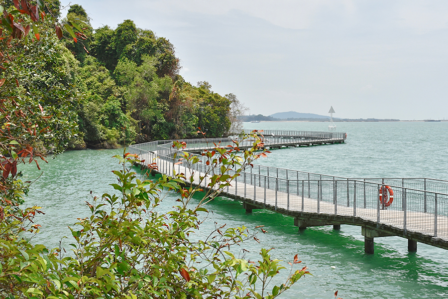 free attractions singapore