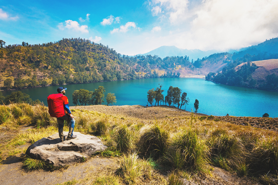 nature movies indonesia