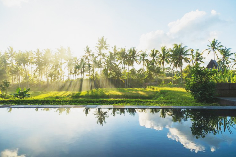 villas in paddy fields