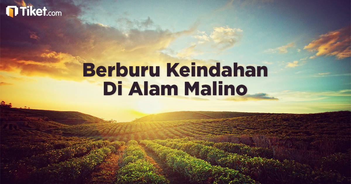 Berburu Keindahan Di Alam Malino