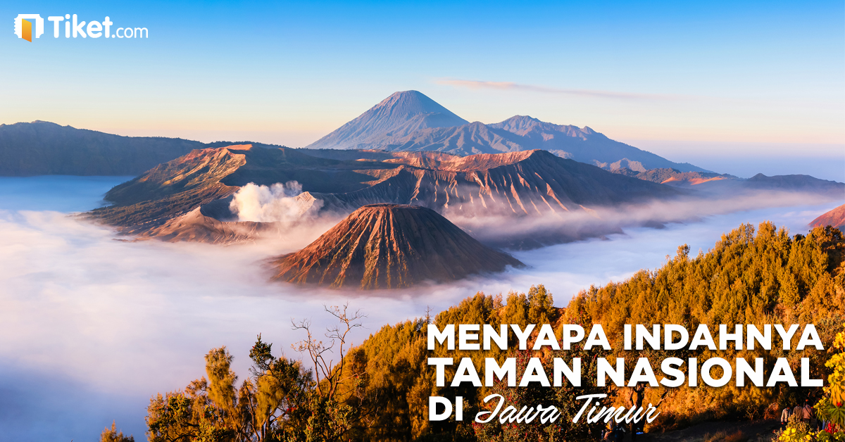 Menyapa Indahnya Taman Nasional Di Jawa Timur