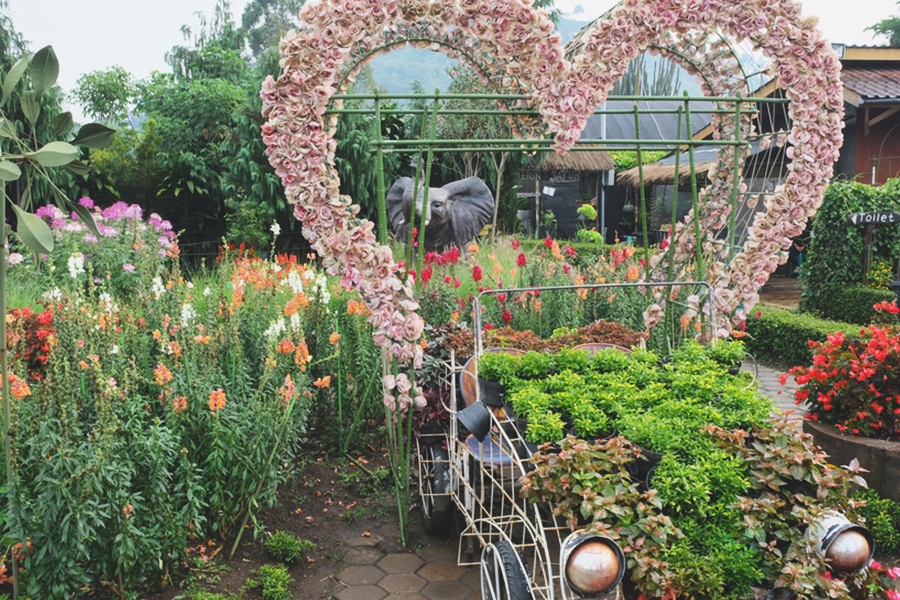 tourist attractions in maribaya - Begonia Flower Park
