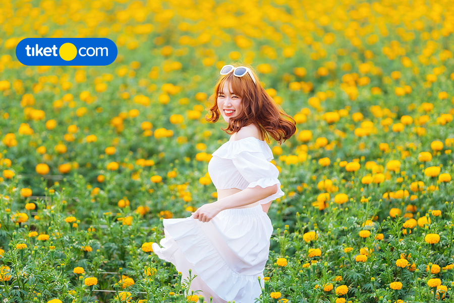 10 Taman Bunga Terindah di Indonesia yang Populer & Bikin Bahagia!