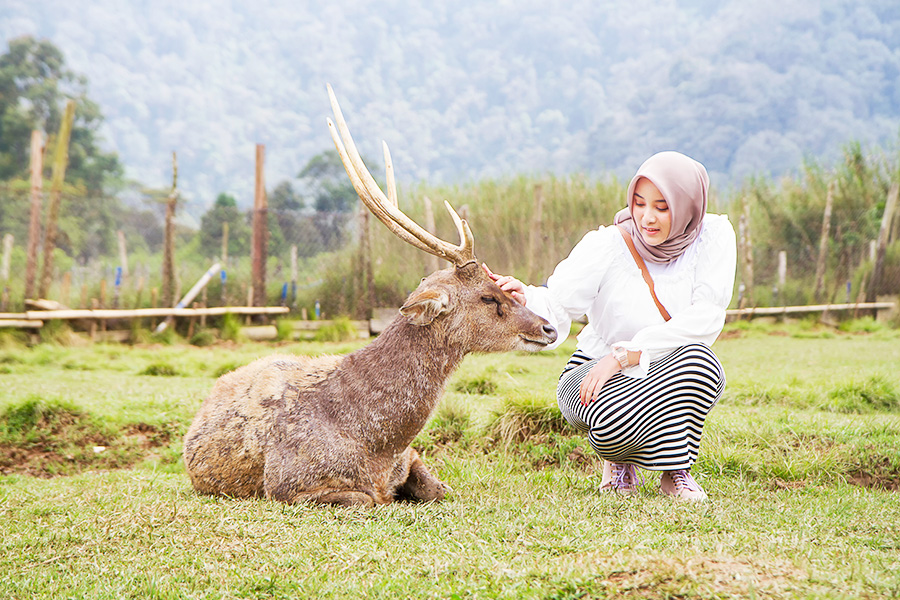 Ranca Upas Bandung