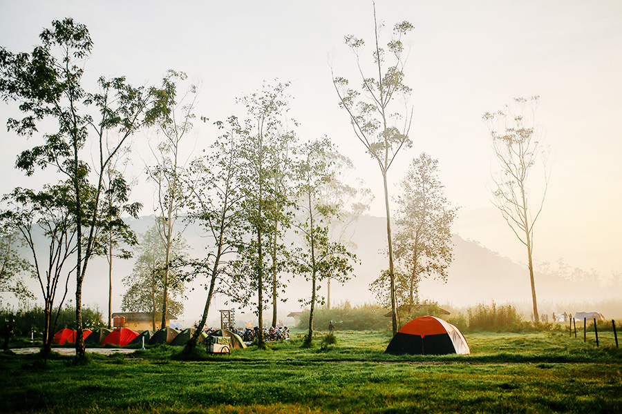 Ranca Upas Bandung - Camping di Ranca Upas