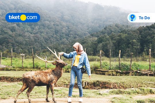 Ranca Upas Bandung