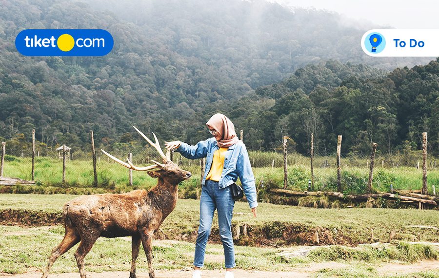 Ranca Upas Bandung