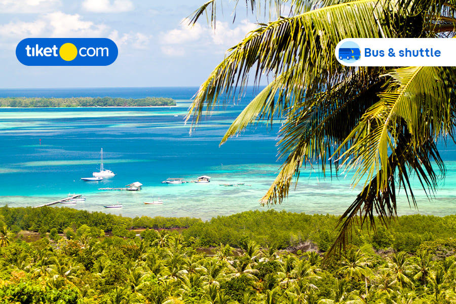 Places to Go in Karimunjawa for First Timers, Easy and Affordable!