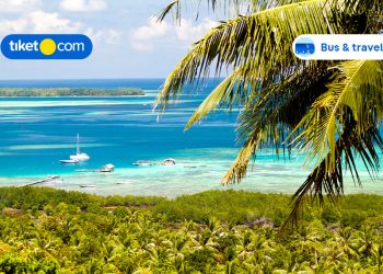 Spot Wisata di Karimunjawa, Lengkap dengan Cara ke Sana yang Paling Mudah!
