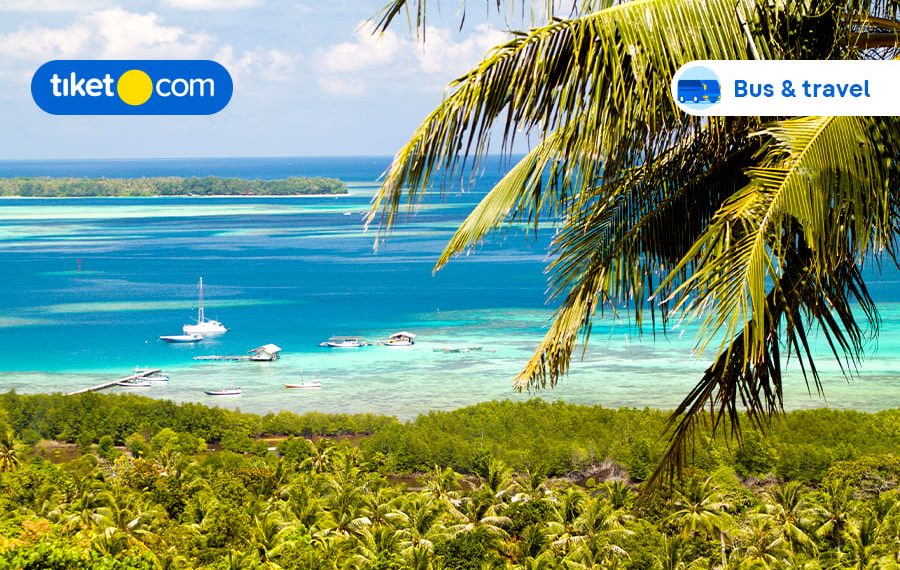 Spot Wisata di Karimunjawa, Lengkap dengan Cara ke Sana yang Paling Mudah!