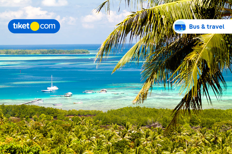 Spot Wisata di Karimunjawa, Lengkap dengan Cara ke Sana yang Paling Mudah!