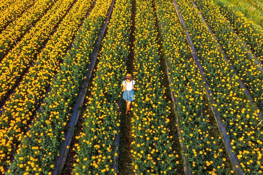 Place Photoshoots in Bali