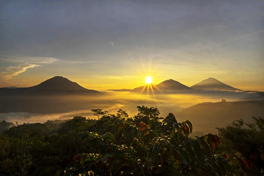 Place Photoshoots in Bali