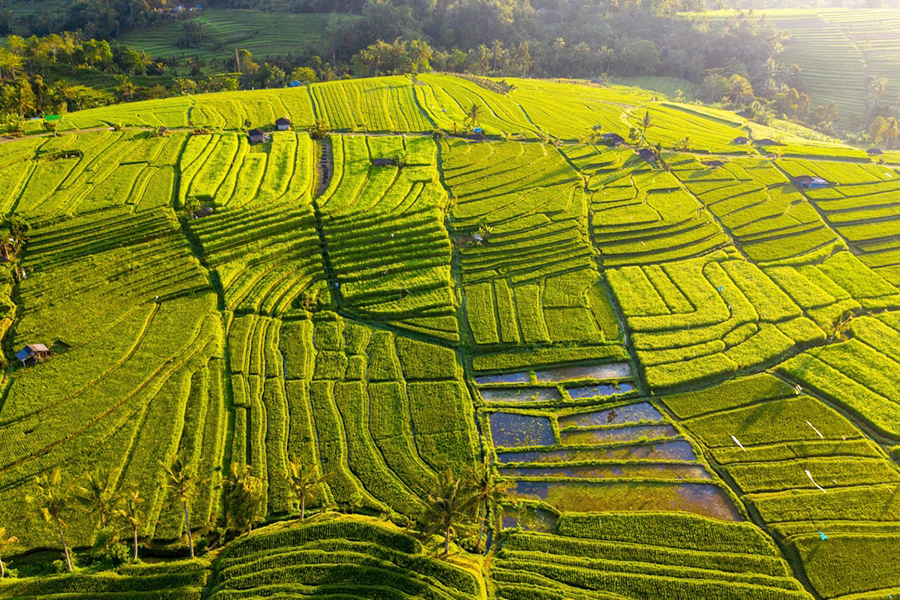 aktivitas romantis di bali