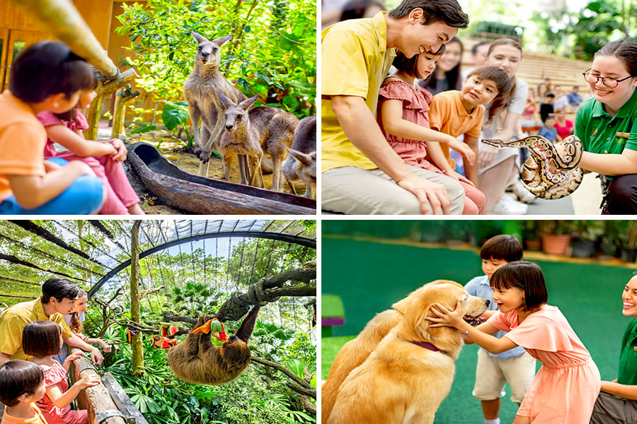 Singapore zoo pas jadi wisata keluarga di Singapore.