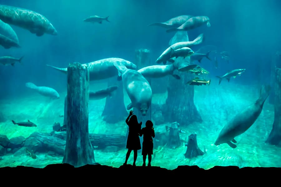 Singapore river wonders pas untuk jadi wisata keluarga di Singapore