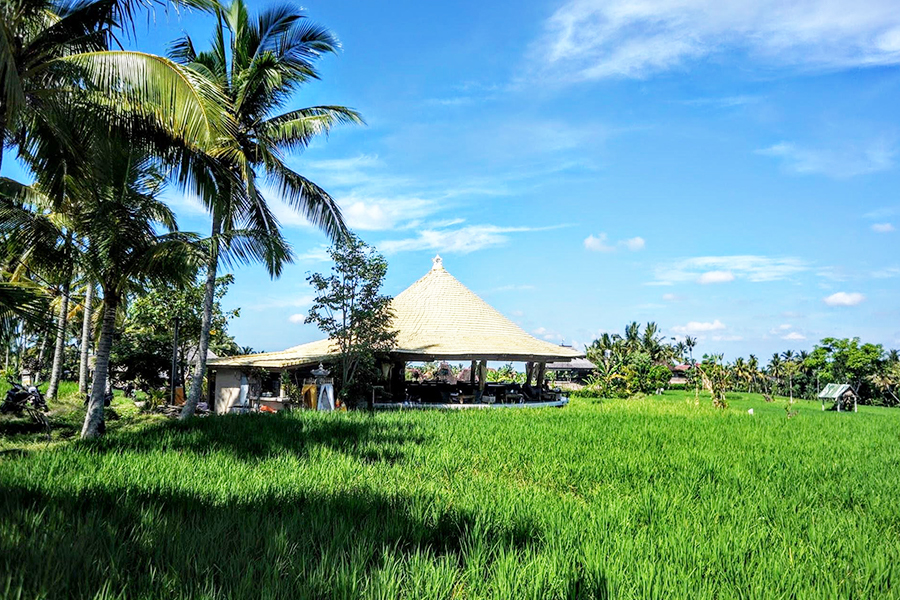 aktivitas romantis di bali