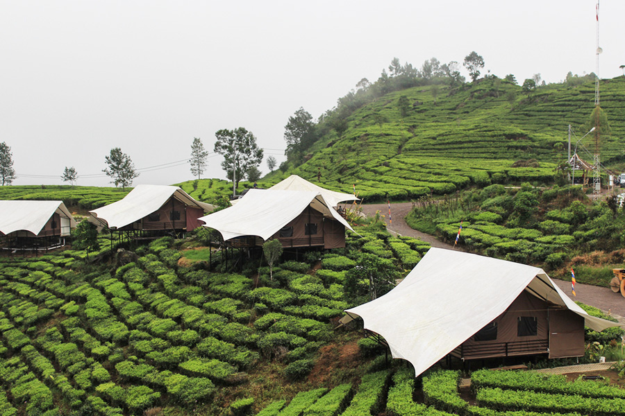 situ patenggang