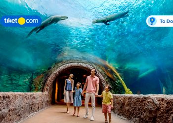 8 Wisata Anak & Keluarga di Singapura, Bikin Liburan Bareng Makin Berkesan!