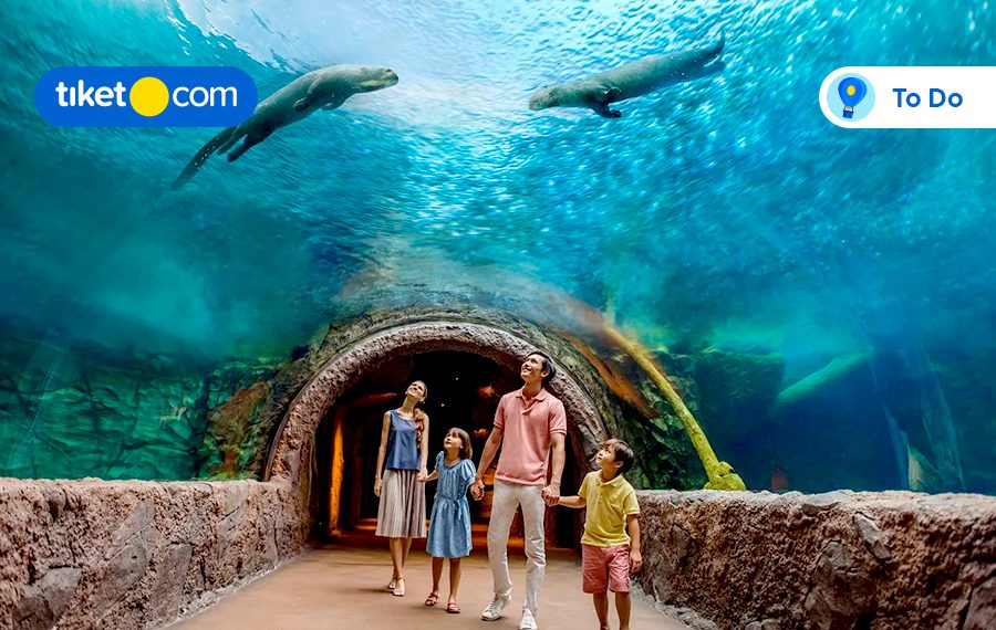 8 Wisata Anak & Keluarga di Singapura, Bikin Liburan Bareng Makin Berkesan!