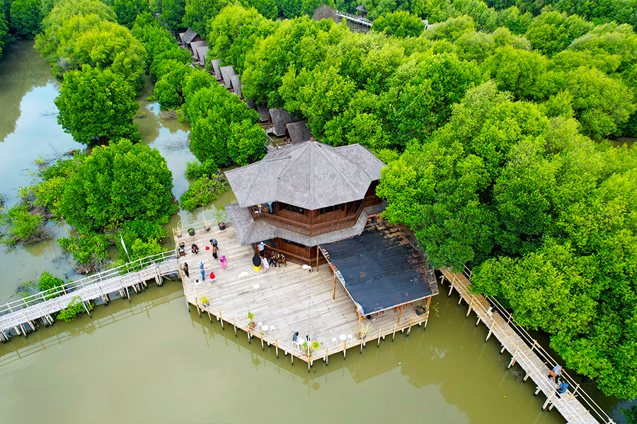 taman kota di jakarta - Hutan Mangrove PIK