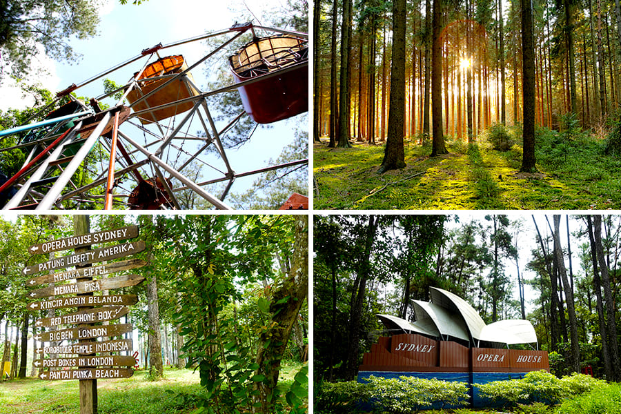 wisata alam di palembang - Hutan Wisata Punti Kayu