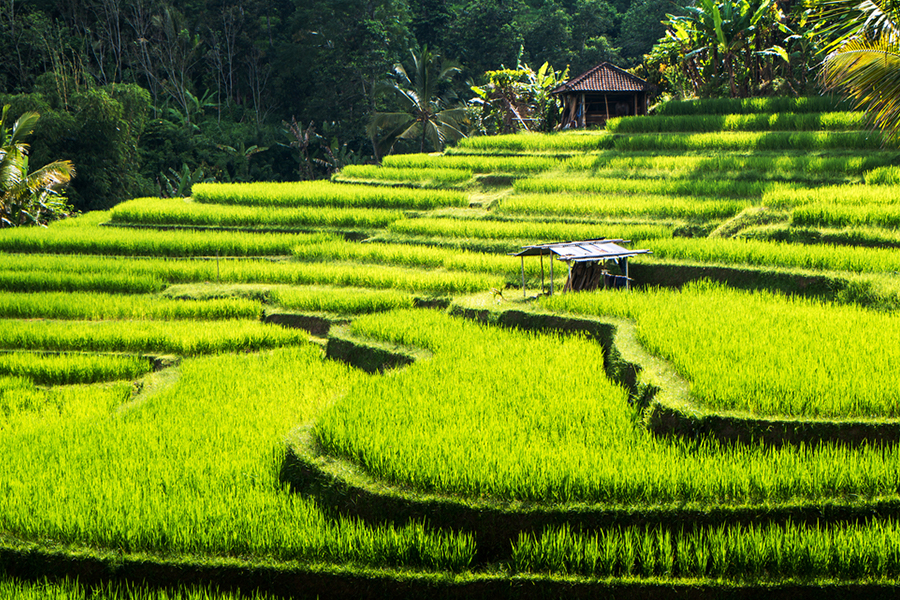 Liburan Instagramable di Bali