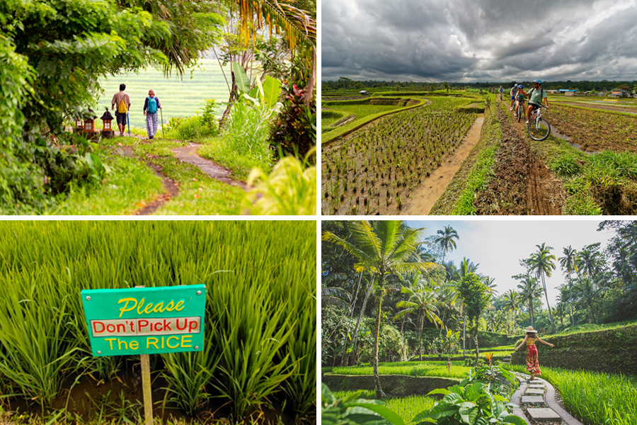 Liburan Instagramable di Bali