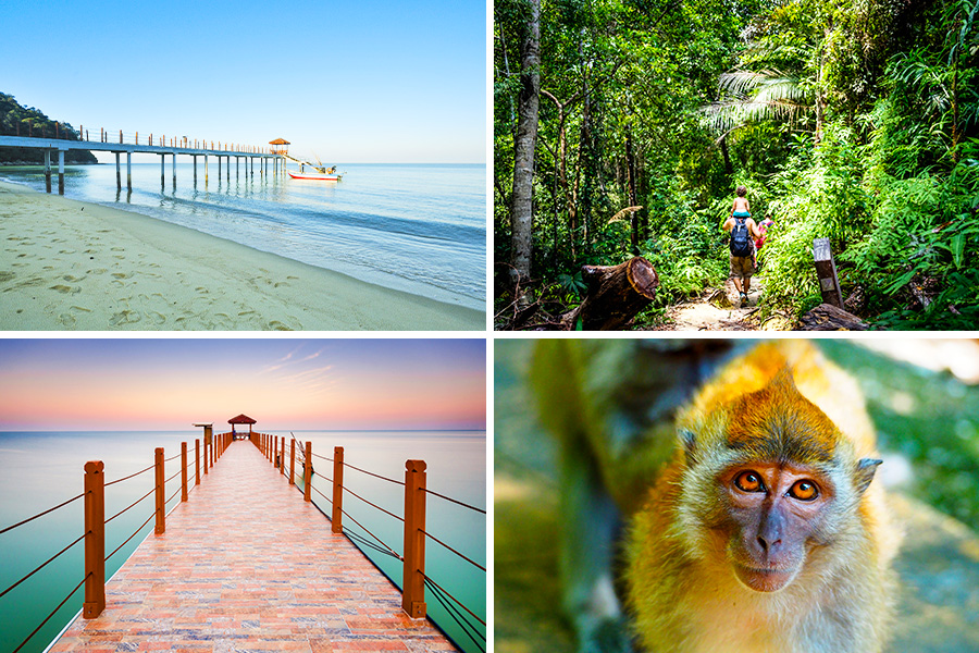 wisata keluarga di penang - Penang National Park