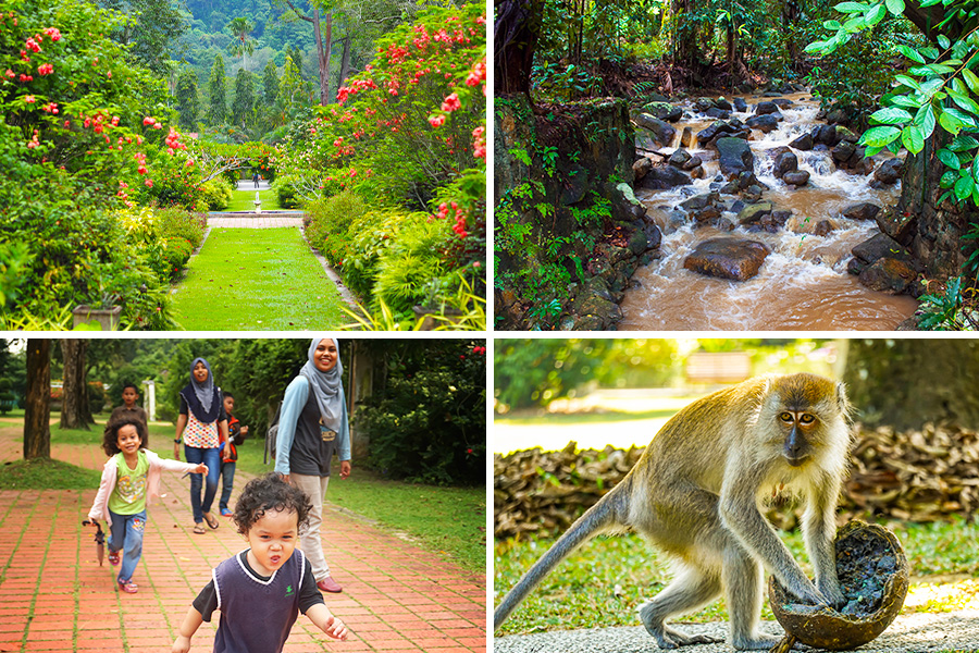 wisata keluarga di penang - Botanical Garden Penang