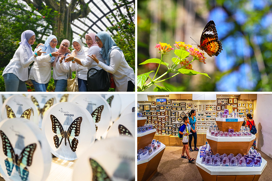 wisata keluarga di penang - Entopia