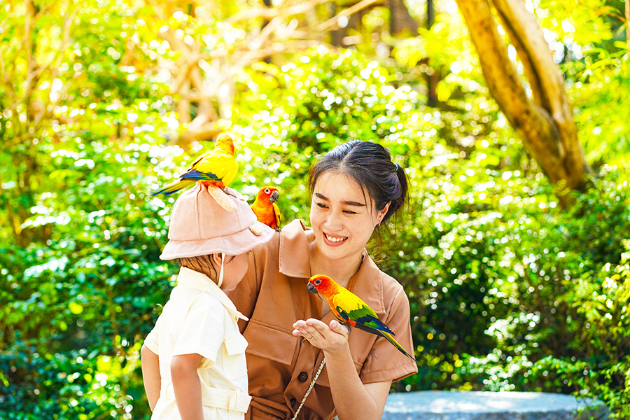 wisata keluarga di penang - Penang Bird Park