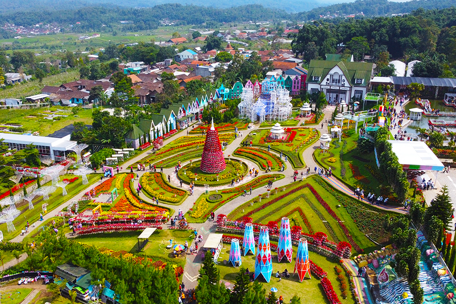 wisata keluarga di semarang - Taman Bunga Celosia Semarang
