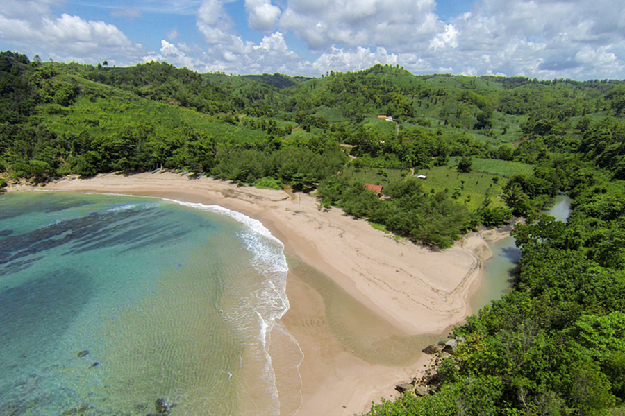 pantai di jawa timur