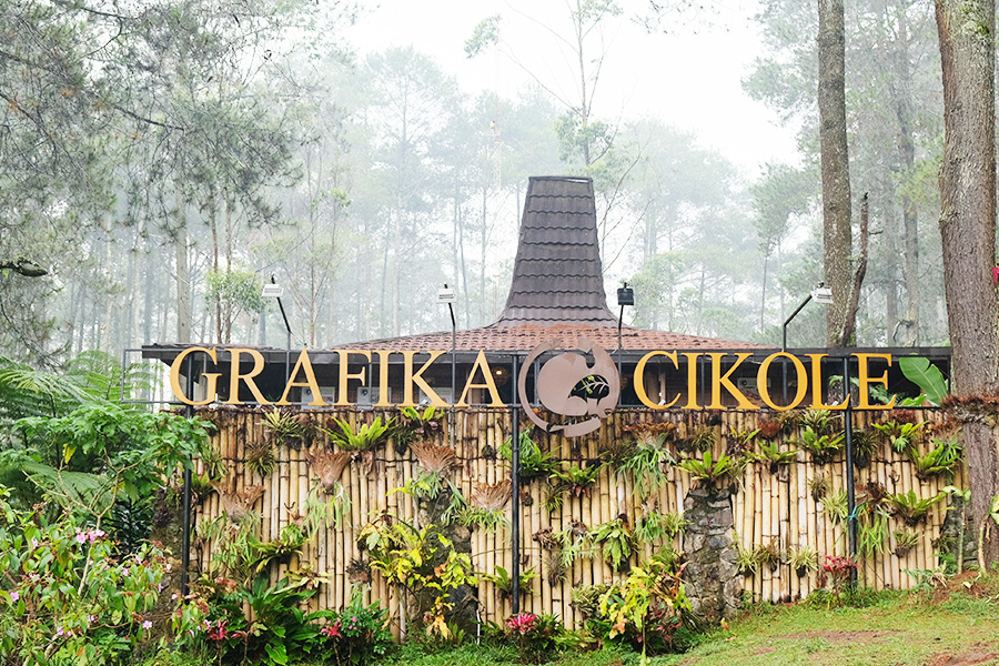 wisata alam bandung - Hutan Pinus Grafika Cikole