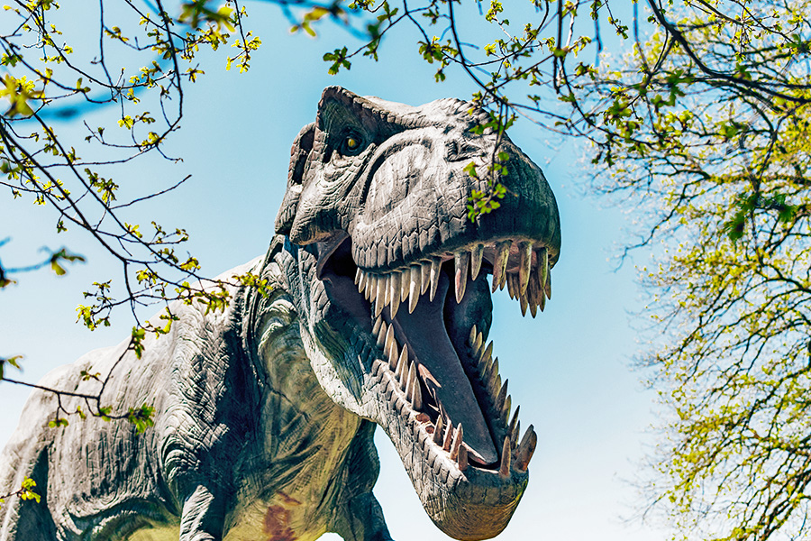 tempat wisata di pekalongan - Dino Park Soko Langit
