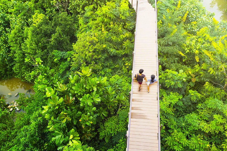 tempat wisata di pekalongan - Mangrove Park Pekalongan