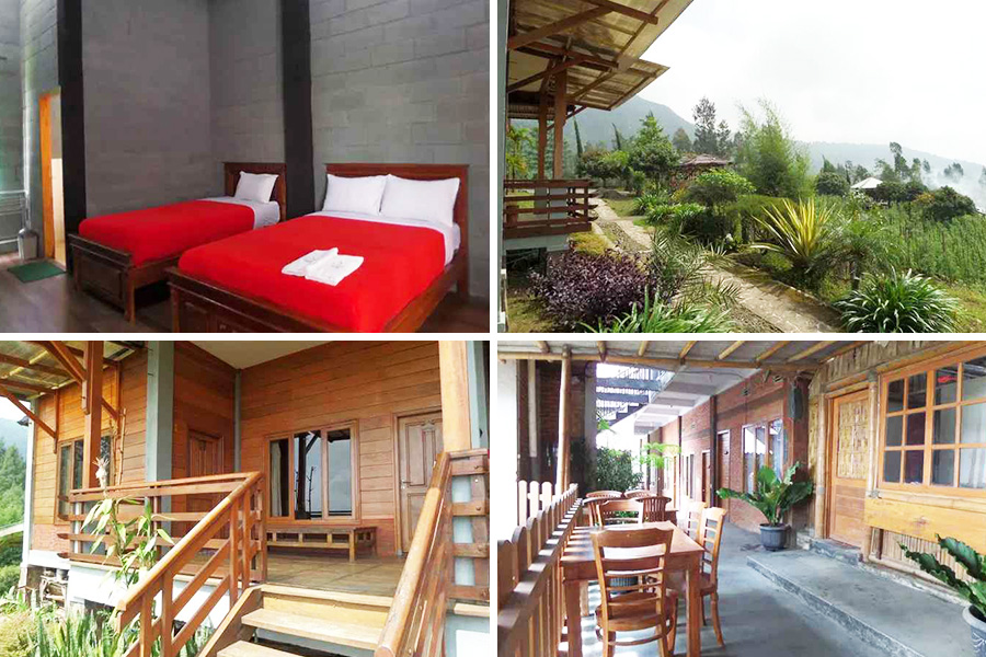 penginapan di bromo - istana petani homestay