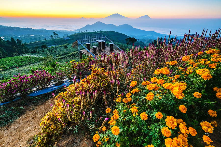 tempat wisata di magelang - silancur highland