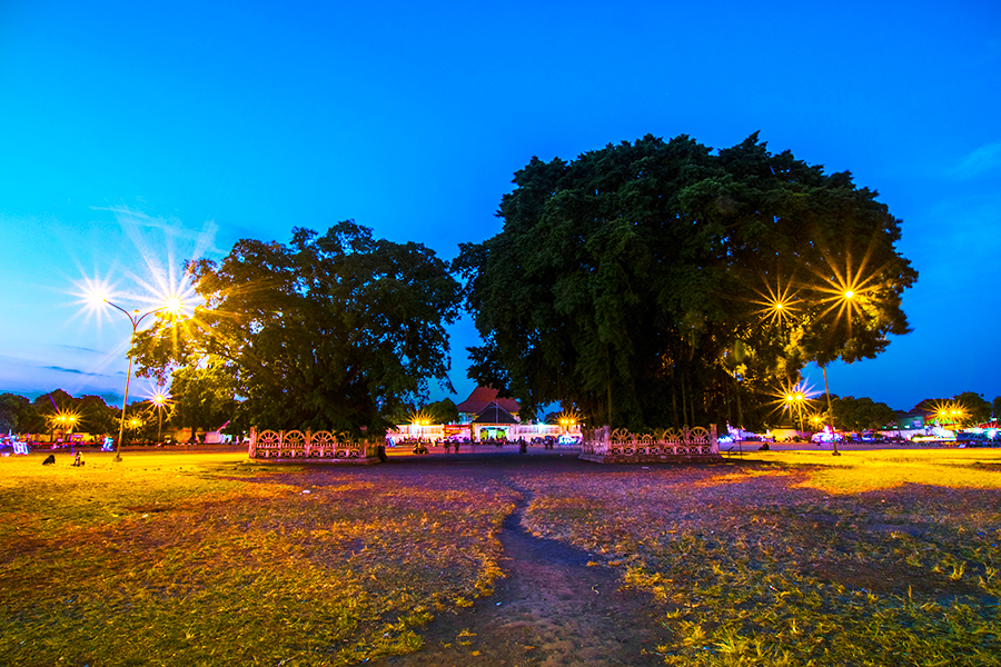 alun alun jogja - pohon beringin kembar