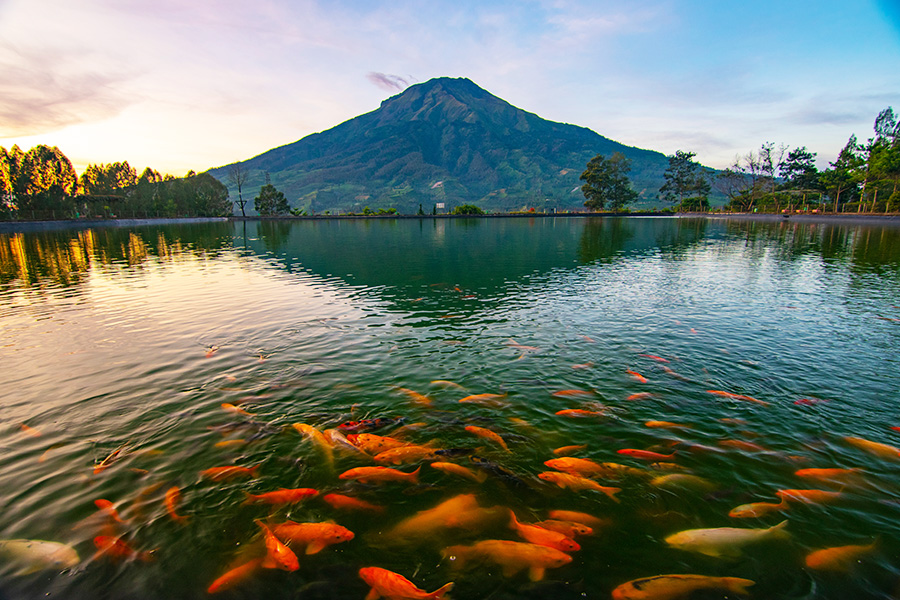 tempat wisata di magelang - gunung sumbing