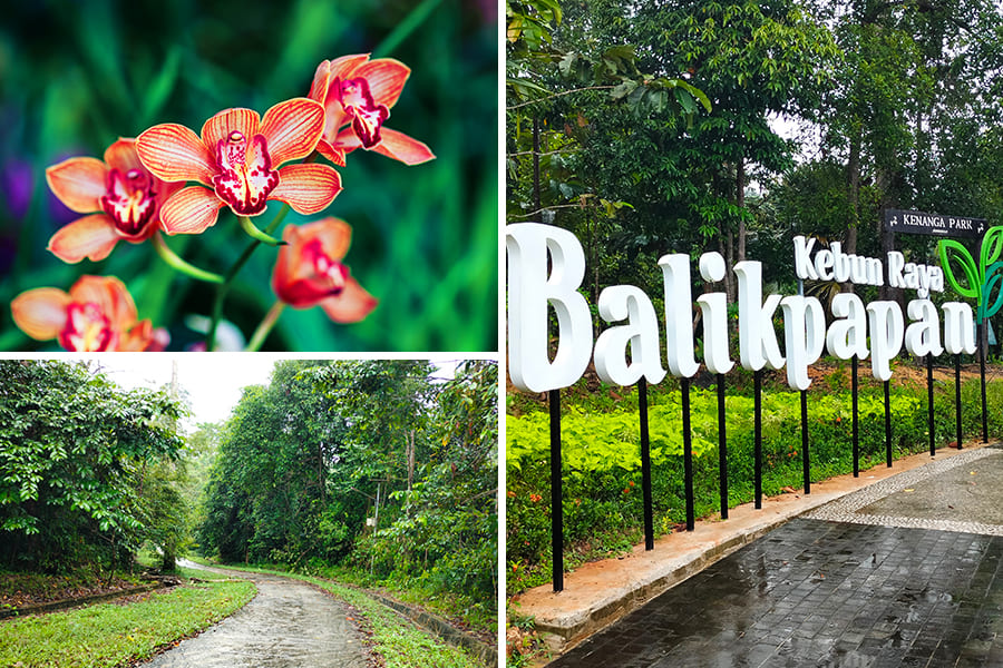 wisata balikpapan - Kebun Raya Balikpapan