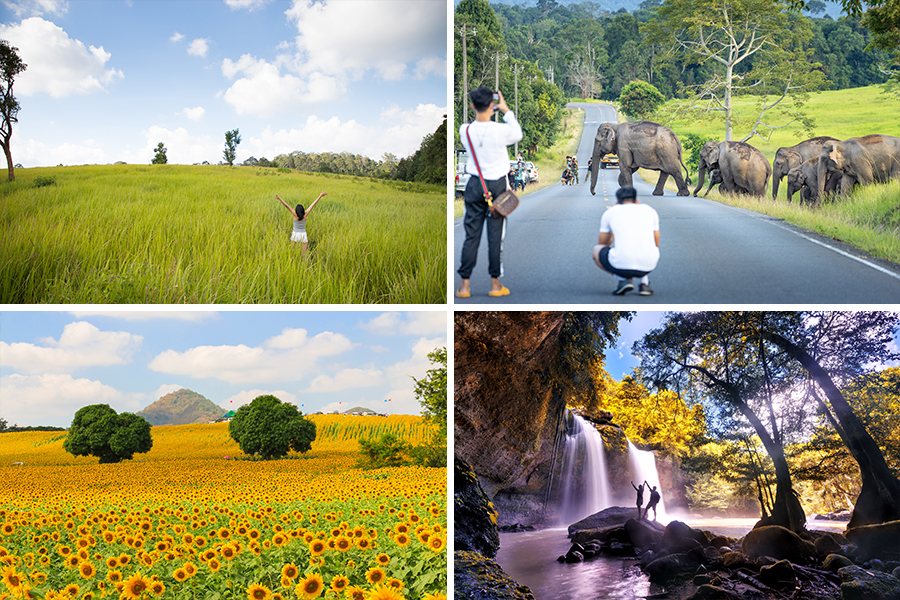 wisata alam di thailand - Taman Nasional Khao Yai